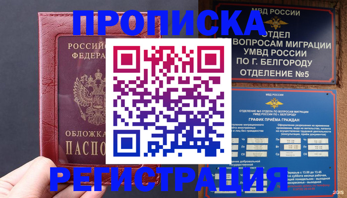 прописка в квартире в Балашихе